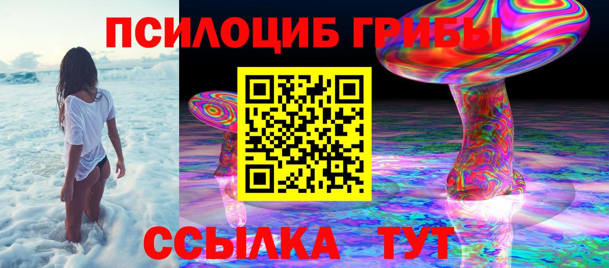 Псилоцибиновые грибы мухоморы  Вход с VPN  Комсомольск-на-Амуре  Галлюциногенные грибы Psilocybe 