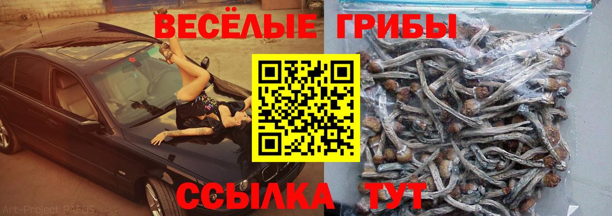 Галлюциногенные грибы Cubensis Комсомольск-на-Амуре